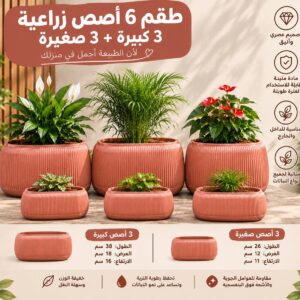 باك ‏احواض المنزل